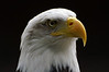 PICT5238_edited-1.jpg