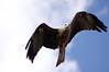 PICT5278_edited-1.jpg